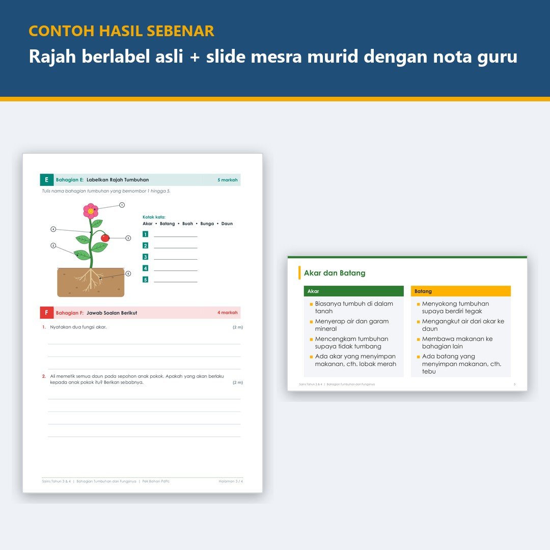 Bahan Bantu Mengajar Sains Sekolah Rendah — gambar 2